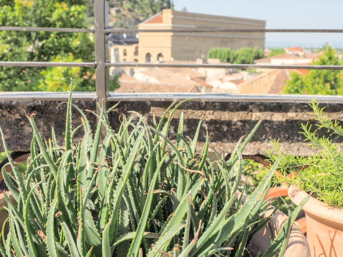 Le Rooftop - Vue Incroyable Sur Le Theatre Antique Orange  Exterior foto